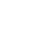 Arctic White