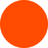 Hunter Orange
