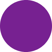 Vivid Purple
