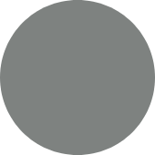 Wolf Grey